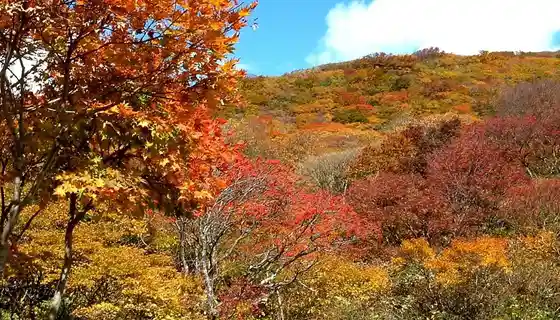 Dai Sado Sukai Line