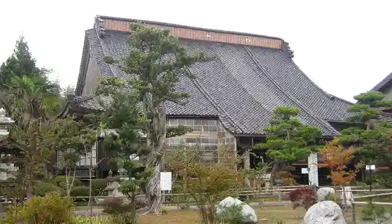 Konpon Tera