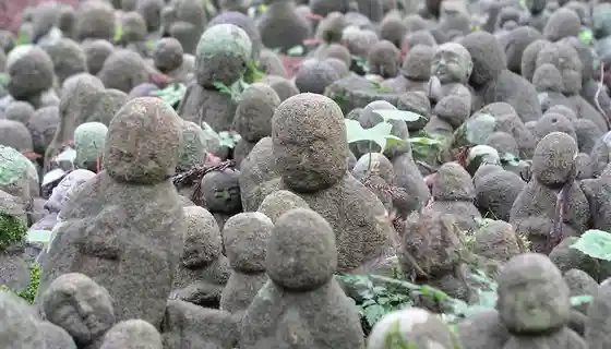 Nashi no Kiji Kura