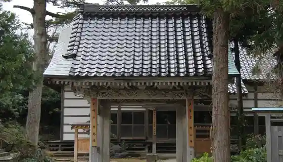 Chiko Bo