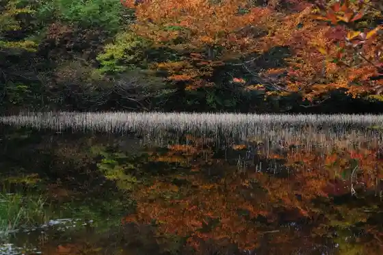 Dai Sado Nature Hodo