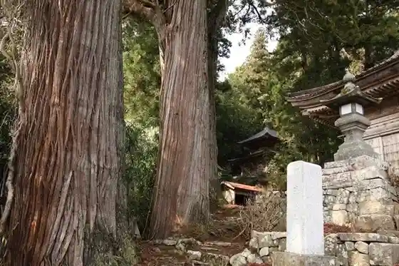 Hase no Sambon Sugi