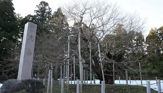 Hane Kichi no Dai Kuwa