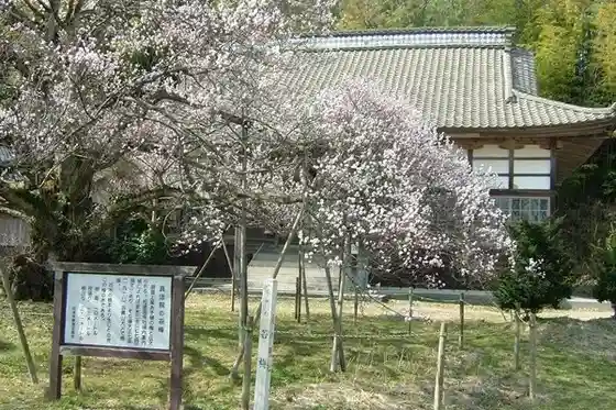 Shinpo In no Kokeume