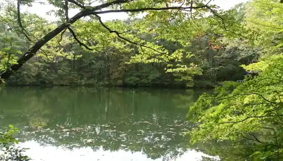 Sugiike