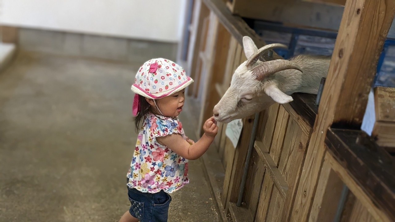 Mitsuse Reveil Ranch Donguri-mura