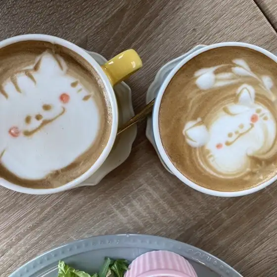 ノラカフェ