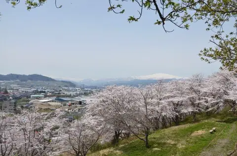Sagae Park