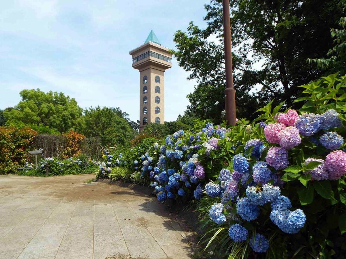 Green Tower Sagamihara