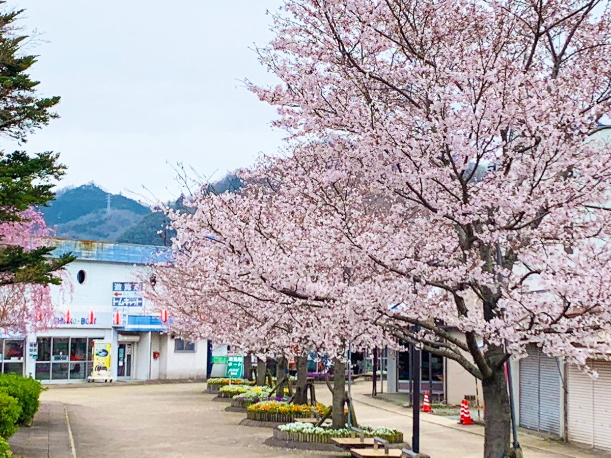 Sagamiko Park