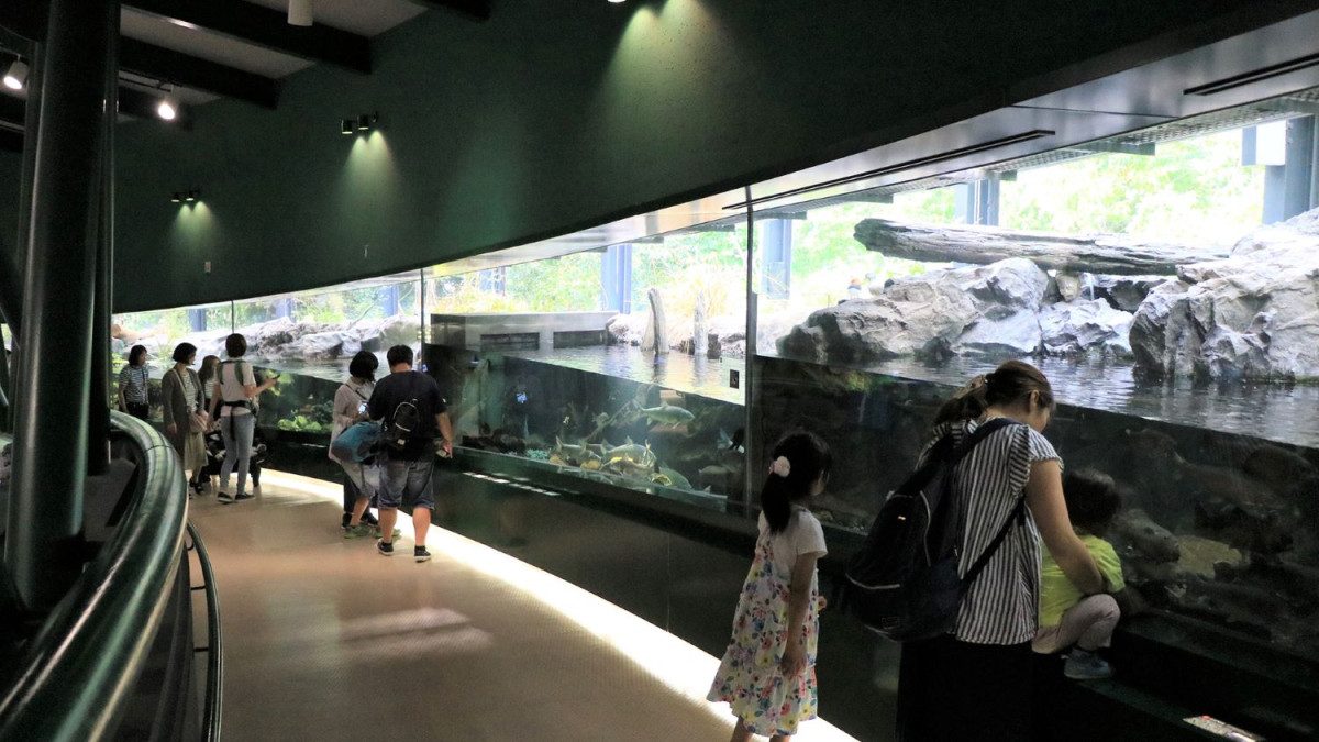 Sagami River Fureai Science Museum Aquarium Sagamihara