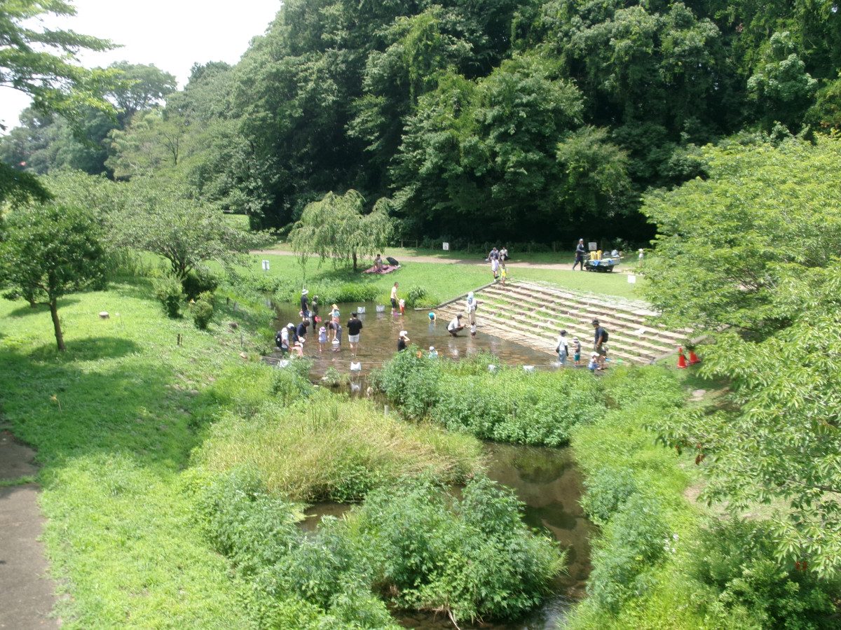 Kanagawa Prefectural Sagamihara Park Seseragi-no-Sono Wading Zone
