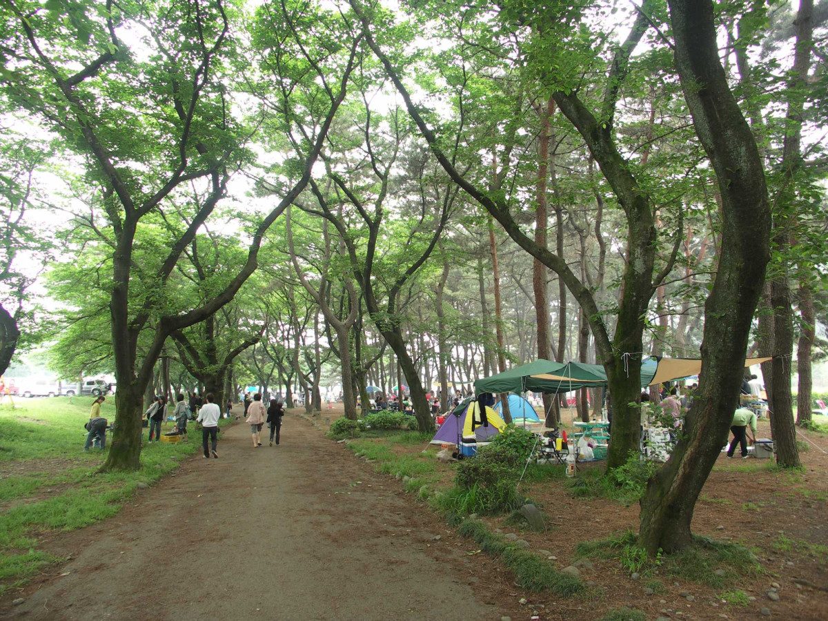 Kami-Oshima Campground