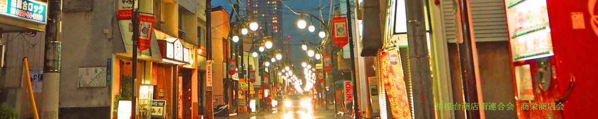 Thousand Road Sagamidai