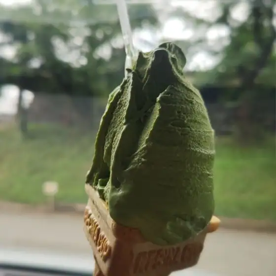 榎本牧場　フォルトゥーナ