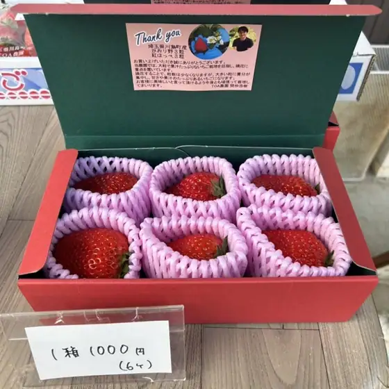 Bakery Toa