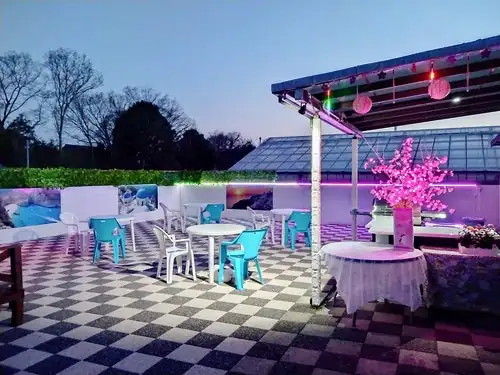 Cat Villa Poolside BBQ