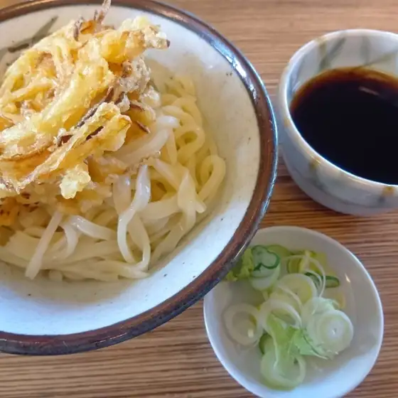 Shinkawa Udon