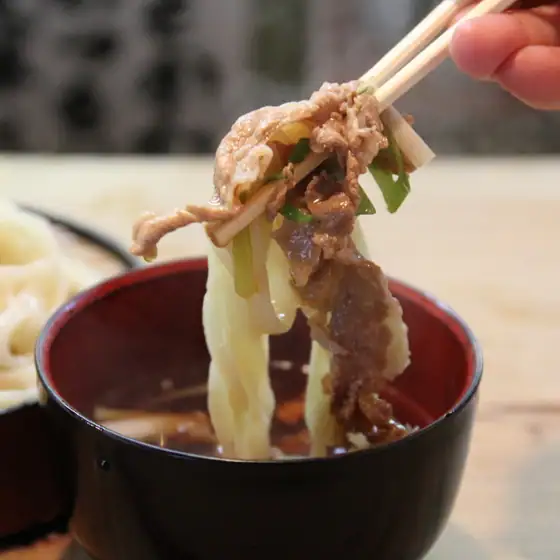 Ganso Inakappe Udon