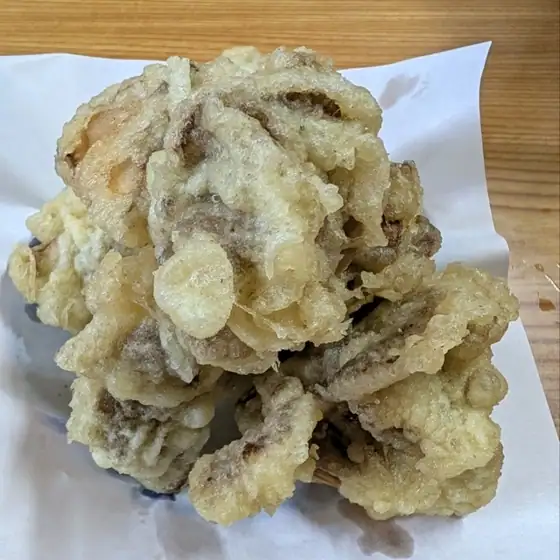 Teuchi Udon Kameya