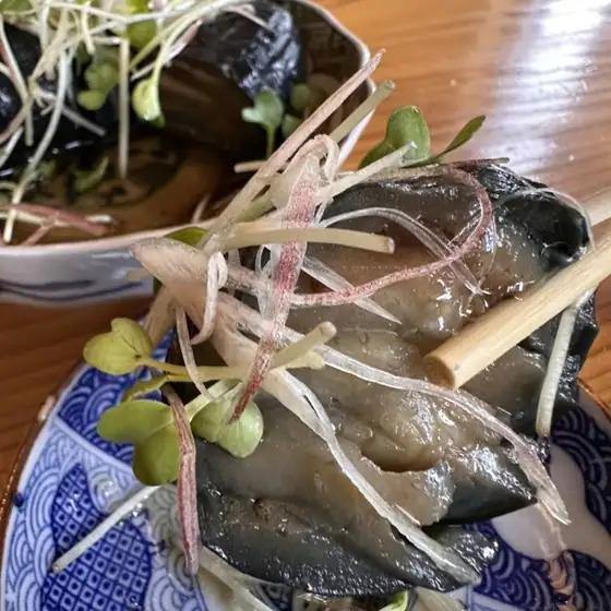 Soba Ryori Sumiya
