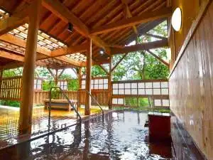 Ryokamiso