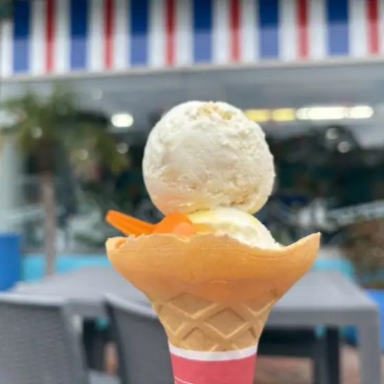 ブルーシール ニューサンピア埼玉おごせ店
