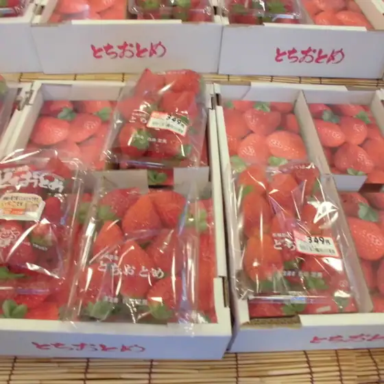 Avance Misato Store