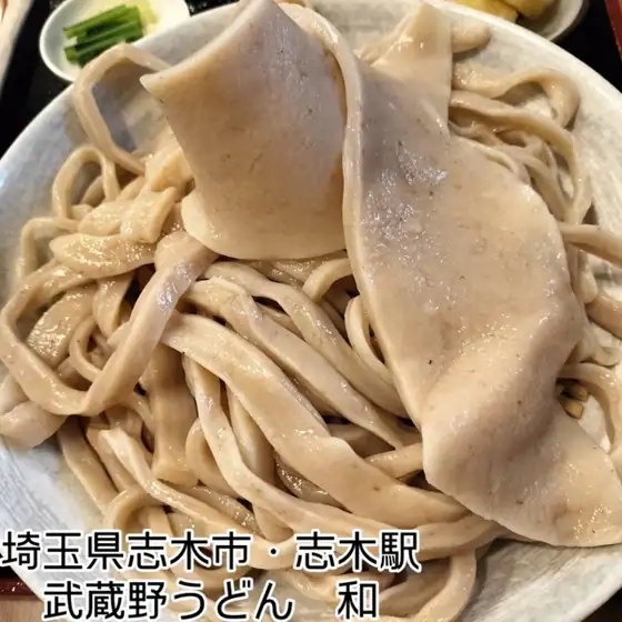 Teuchi Udon Wa