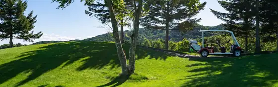 Ogose Golf Club Restaurant