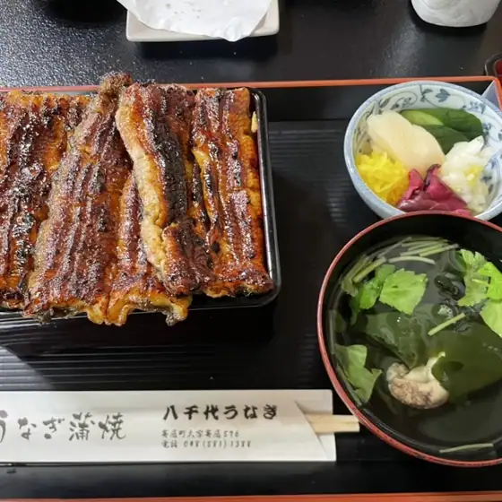 八千代うなぎ蒲焼店
