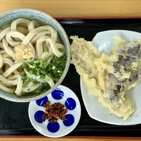 Jun Teuchi Sanuki Udon Dosankanroku