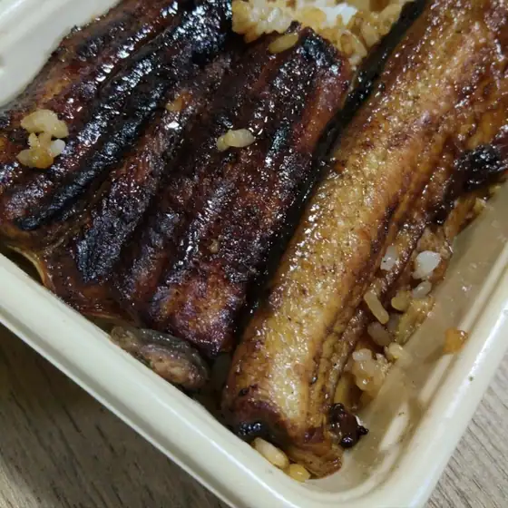 魚藤