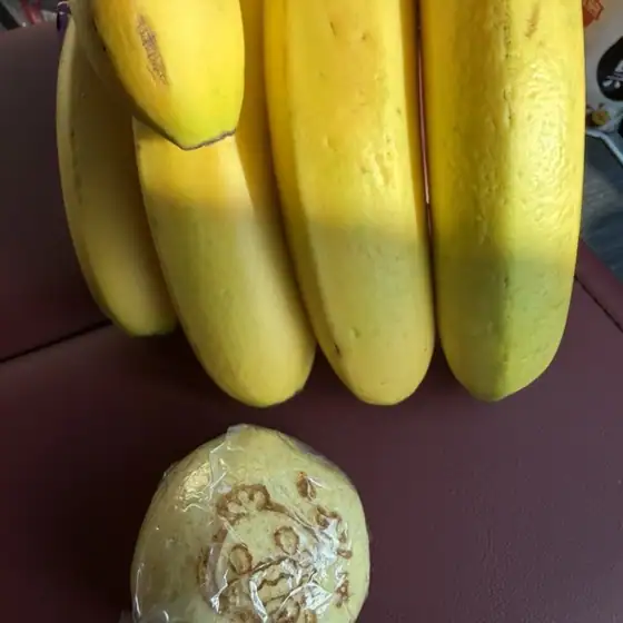 道の駅 いちごの里よしみ