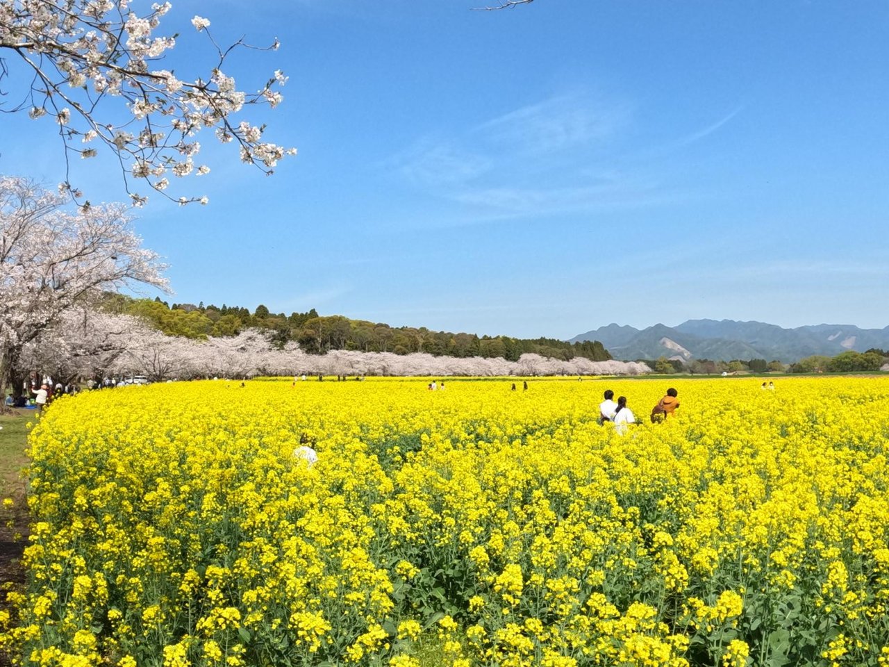 Saitobaru Burial Mounds