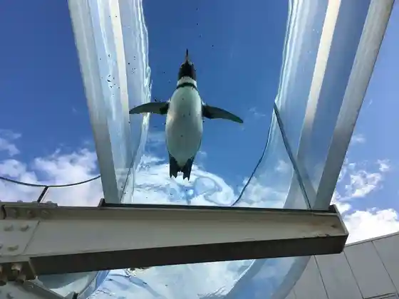 Echizen Matsushima Aquarium