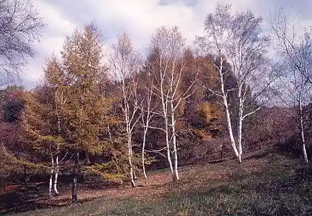 Wahei Highlands