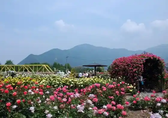 Sakaki Chikumagawa Bara Park