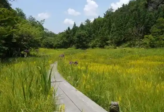Komeshitsugen