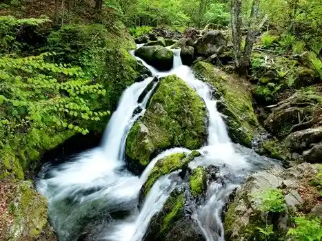 Yachiho Highlands Nature Garden