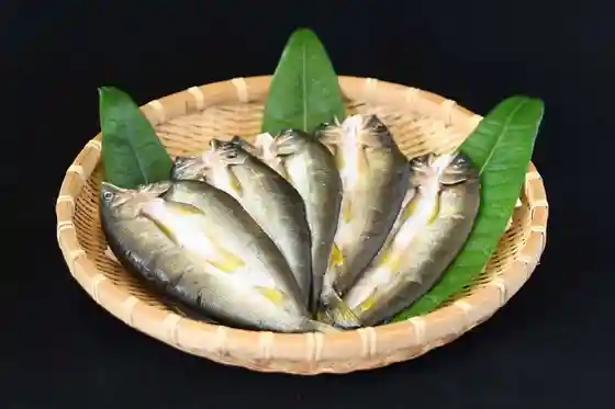 Sun-Dried Split Ayu