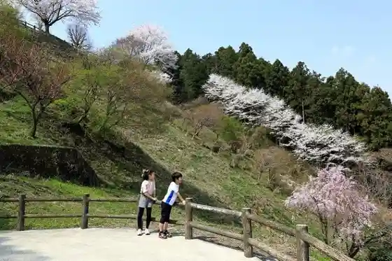 Omaruyama Park (Okuragasaki Castle Site)