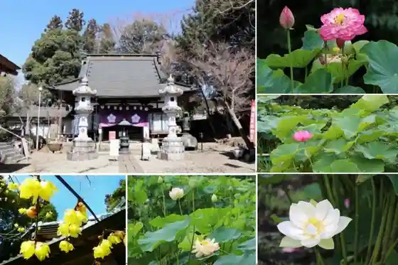 Torinji Temple