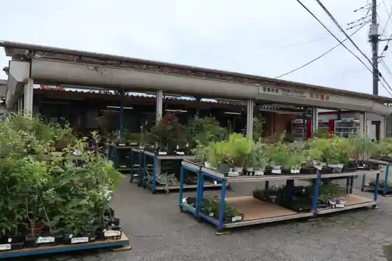 Koto Farmers Market