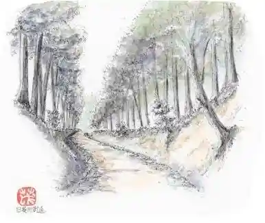 Oshu Kaido