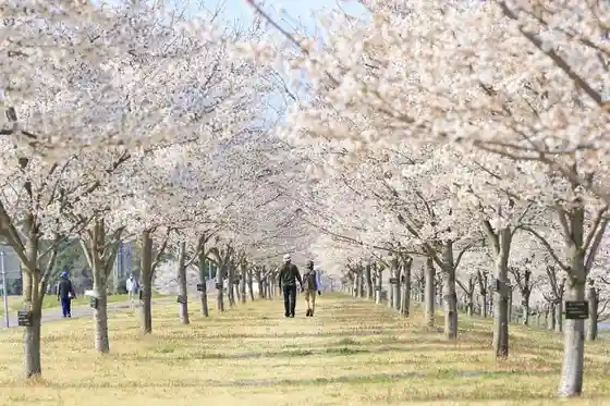 Ujiie Yuyu Park