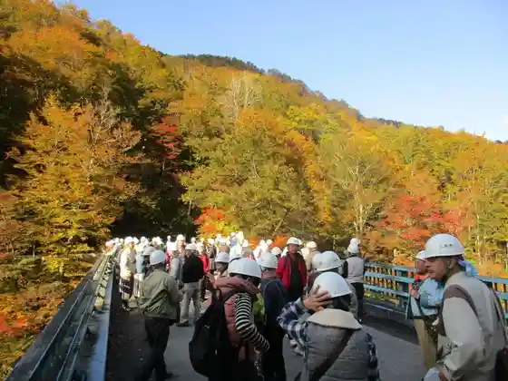Hikyo Hachiju Sato Etsu Taikan Basu Tour