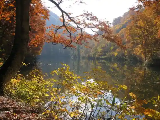 Ame Namagaike (Maoigaike)