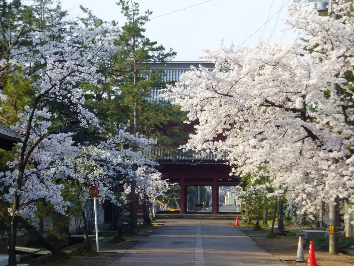 Hokke Shu Sohonzan Hon Sei Tera