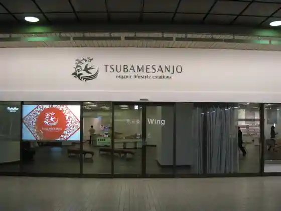 Tsubame Sanjo Wing